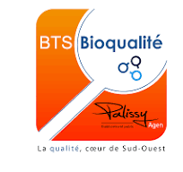 Logo 6