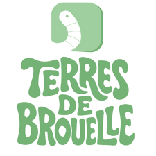 Logo 1